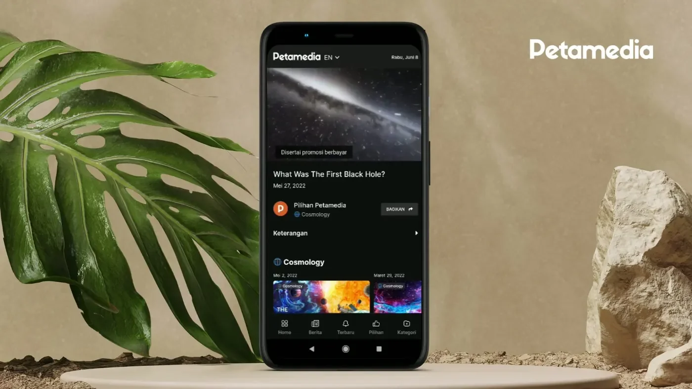 Petamedia website on a phone