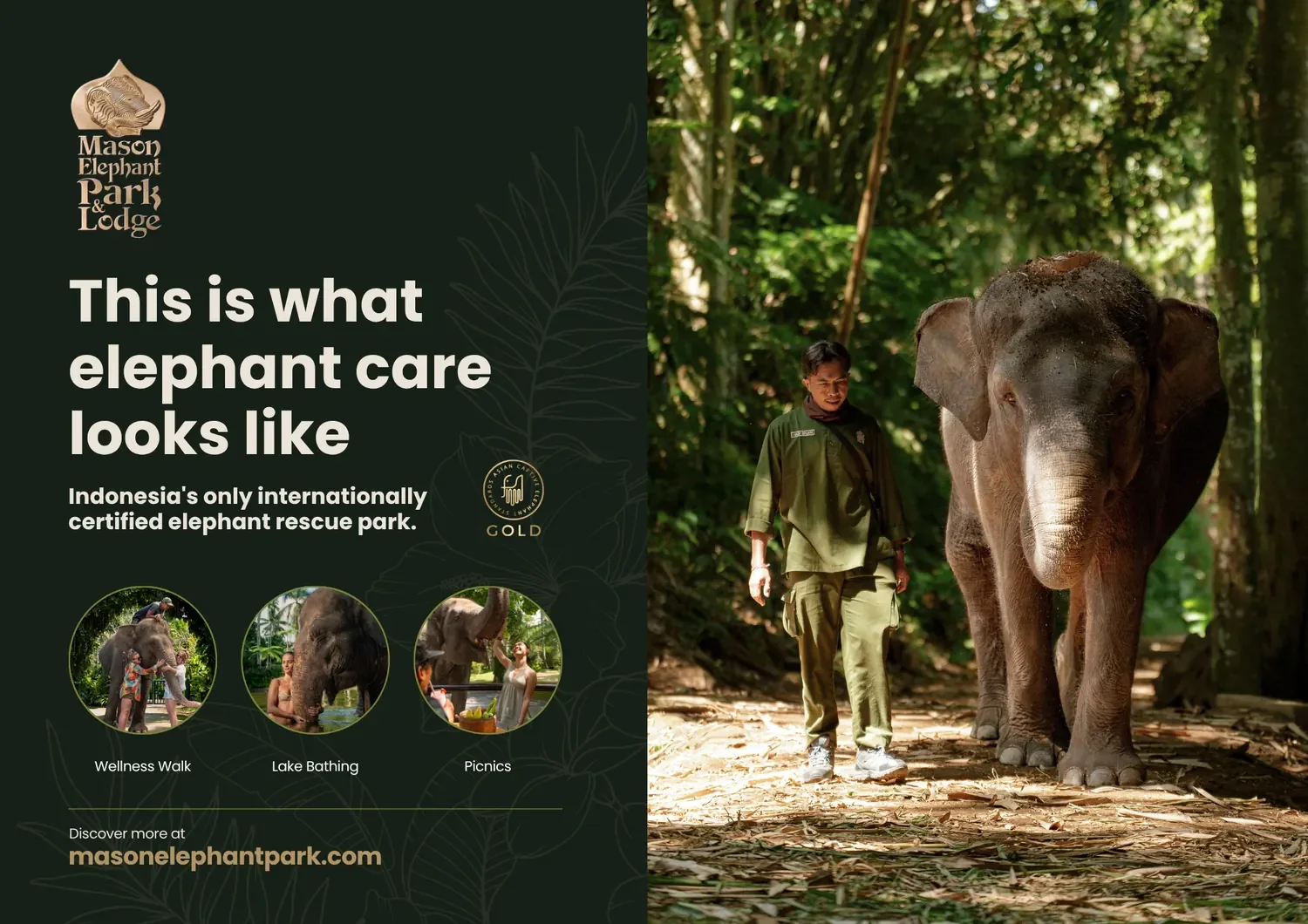 Mason Elephant Park, double-page ad, NOW Magazine